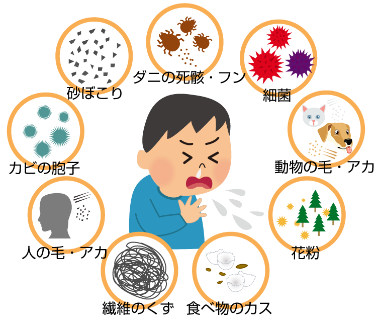 は アレルギー と ハウス ダスト ハウスダストアレルギーとは？対策におすすめの空気清浄機の選び方